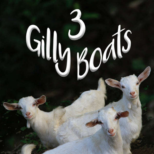 3 Gilly Boats