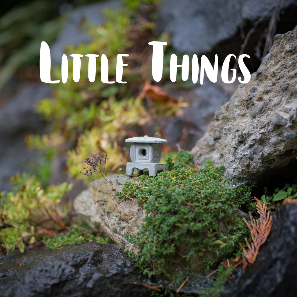 Little Things